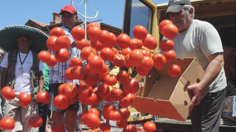 Земеделски производители изхвърлят домати в знак на протест срещу ниските изкупни цени. Снимка: БТА