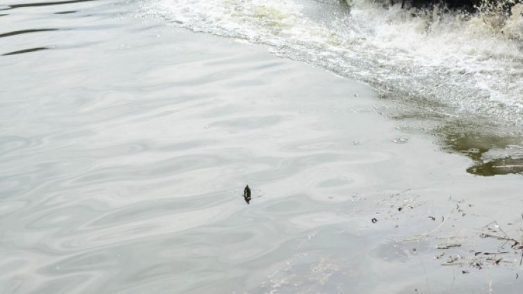 Снимка: БулФото-архив