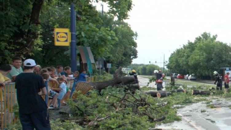 Снимка: архив, Булфото