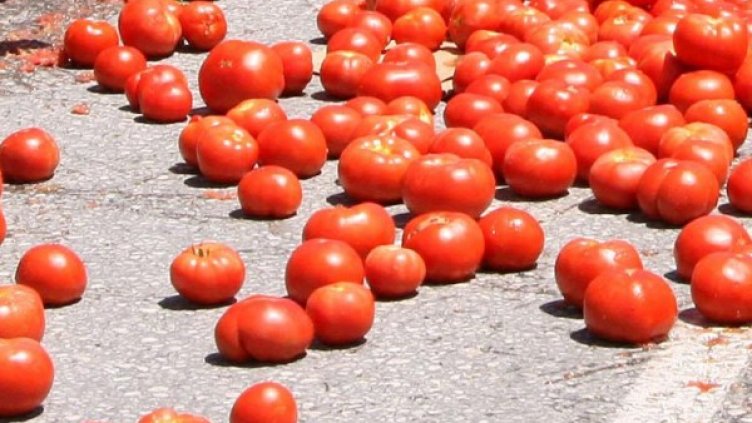 Родният домат доскоро се въргаляше по пътя. Снимка: архив, Булфото