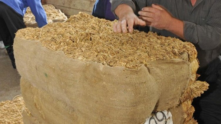 Снимка: Булфото, архив