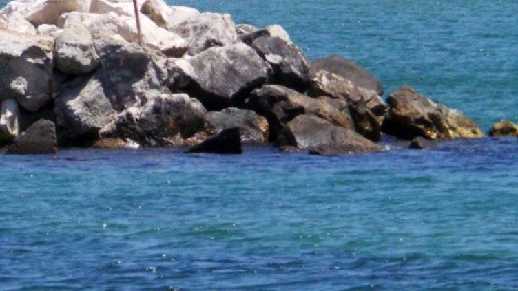 Снимка: архив, Impact Press Group