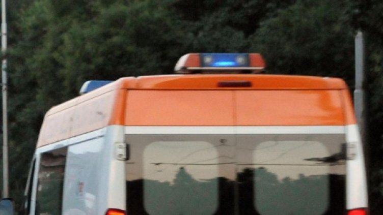 Снимка: Булфото