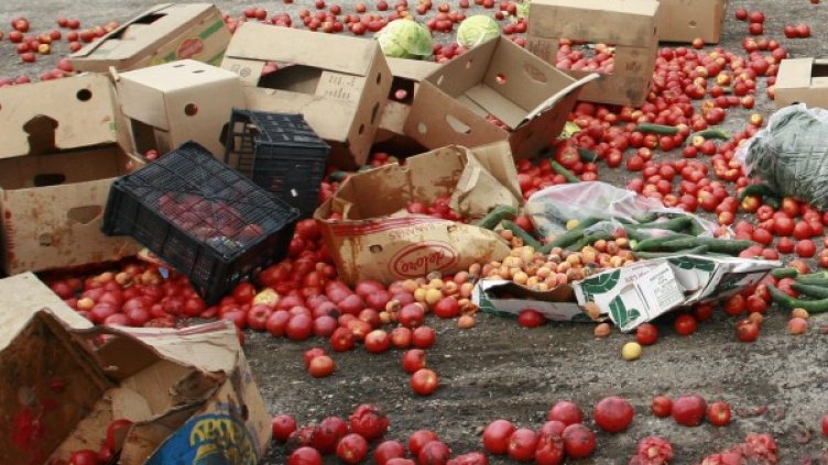 Снимка: архив, Булфото