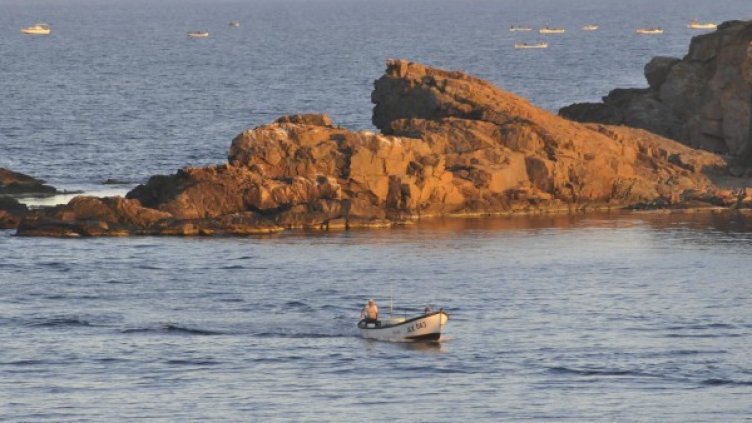 Снимка: Булфото, архив