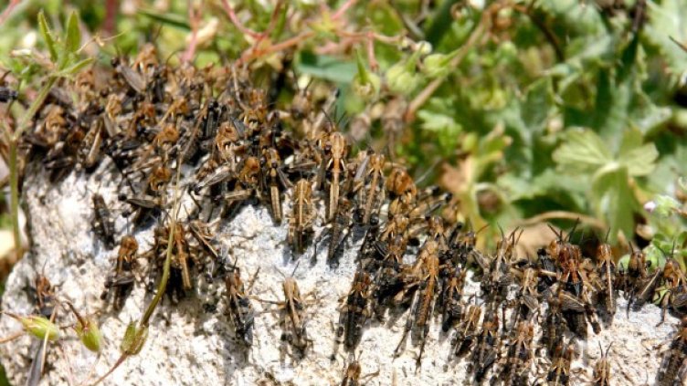 Снимка: архив, Булфото