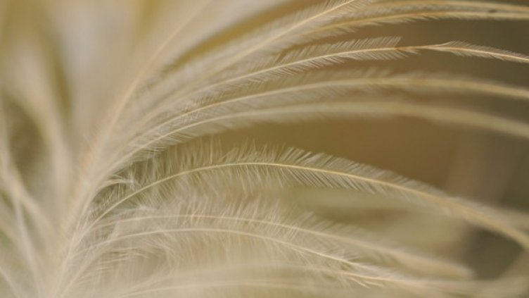 Снимка: Sxc.hu