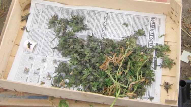 Снимка: архив Булфото