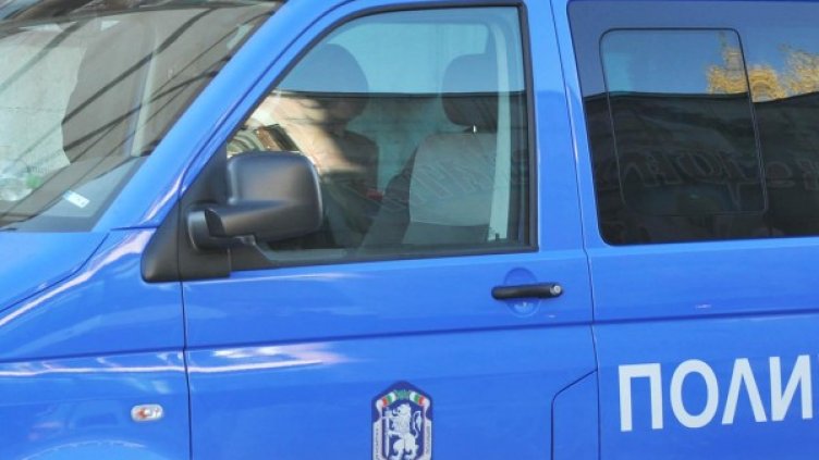 Снимка: БулФото-архив