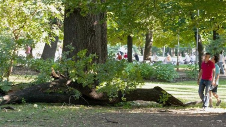 Борисовата градина. Снимка: архив, Булфото