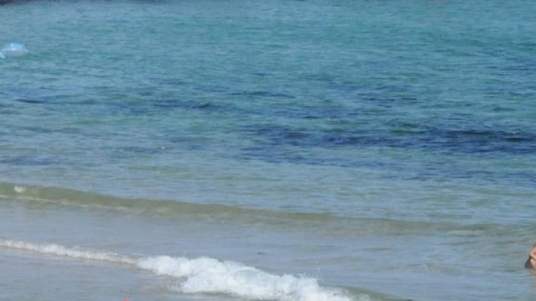 Снимка: архив, Булфото