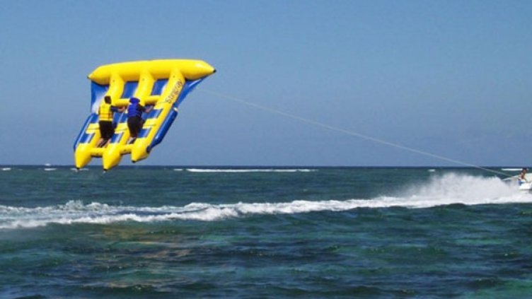 Летящата риба. Снимка: Булфото