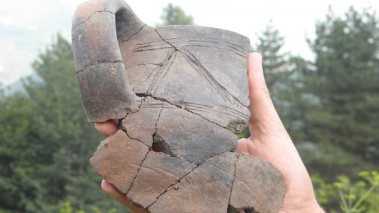 Снимка: НИМ