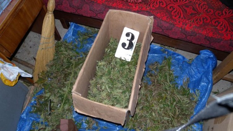 Снимка: архив, Булфото