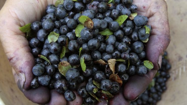 Снимка: архив, Reuters