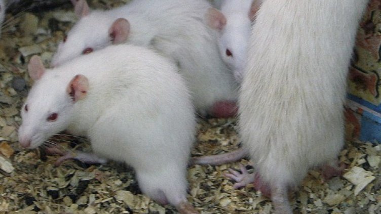 Снимка: архив, Reuters