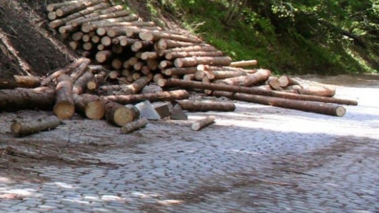 Движението на мястото на инцидента е затруднено, регулира се от катаджии. Снимка: архив, Булфото