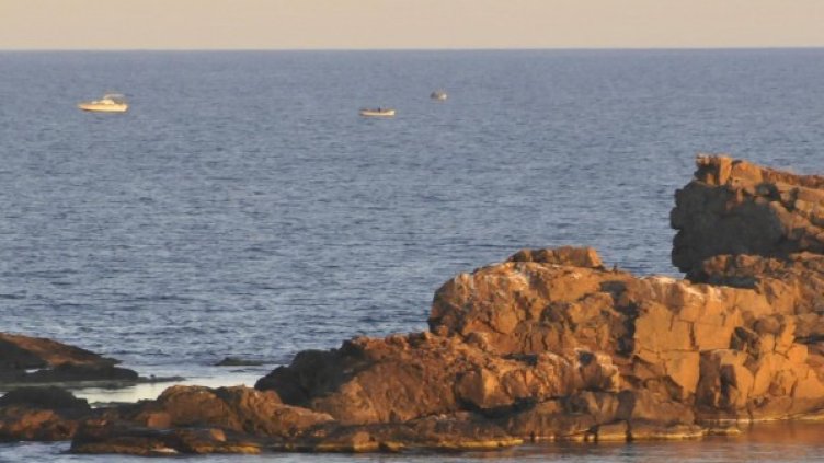 Снимка: Булфото, архив