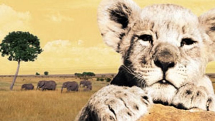 Снимка: Издателство "Фют"