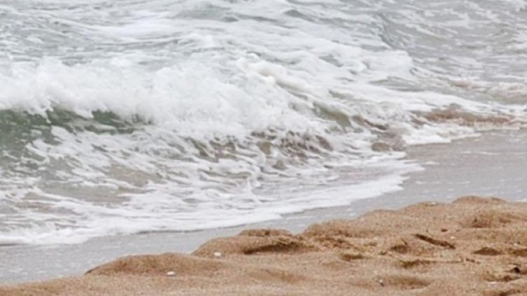 Снимка: архив, Булфото