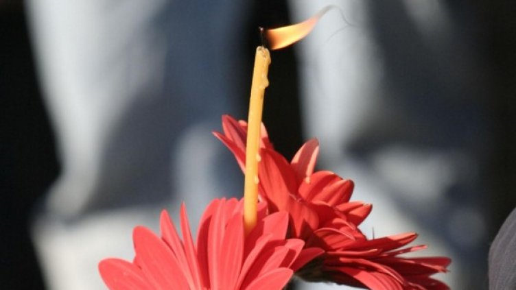 Снимка: архив, Булфото