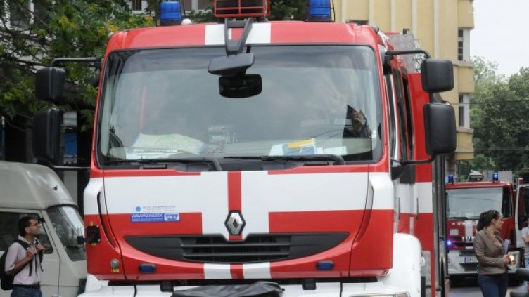 Снимка: Булфото