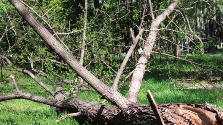 Снимка: архив, Булфото