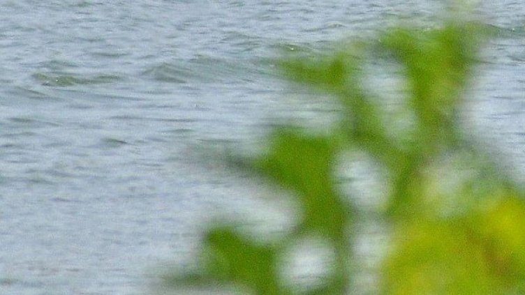 Снимка: архив, Булфото