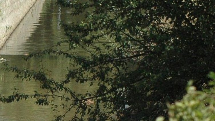 Двете деца бяха намерени удавени в напоителния канал в четвъртък сутринта миналата седмица. Снимка: архив, Булфото