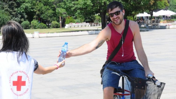 Снимка: Булфото