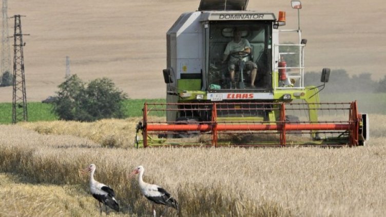 Снимка: Булфото