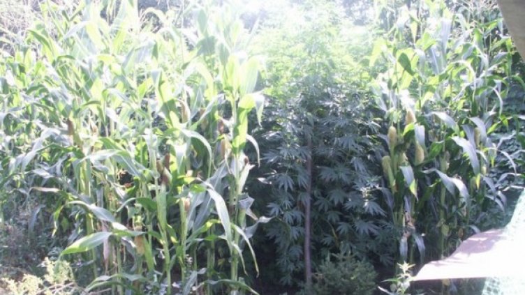 Снимка: МВР