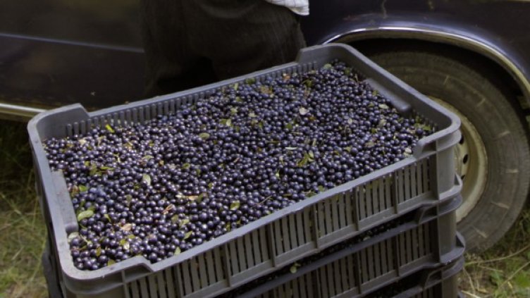 Снимка: архив, Ройтерс