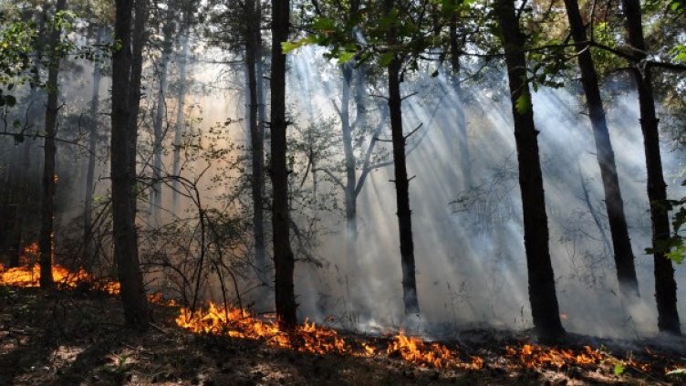 Стихията в Спахиево. Снимка: БТА