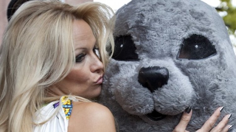 Памела пак залюби бившия си мъж. Снимка: Reuters