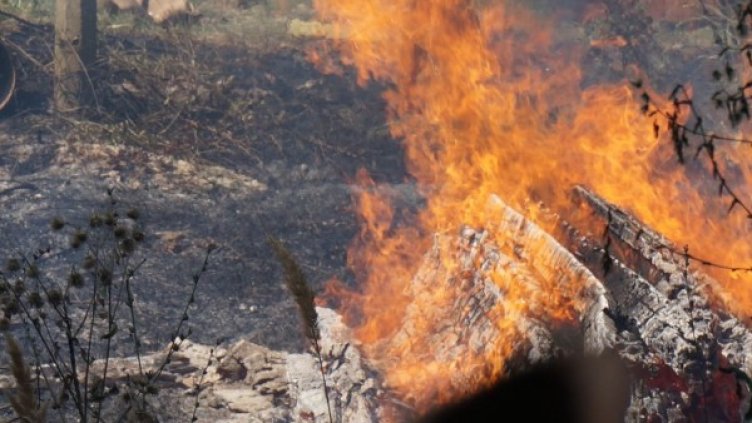 Снимка: архив, Булфото