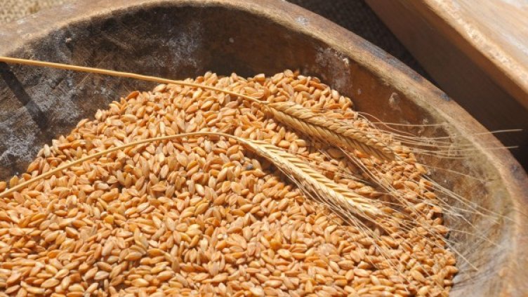 Снимка: архив, Булфото