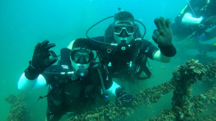 Снимка БГНЕС