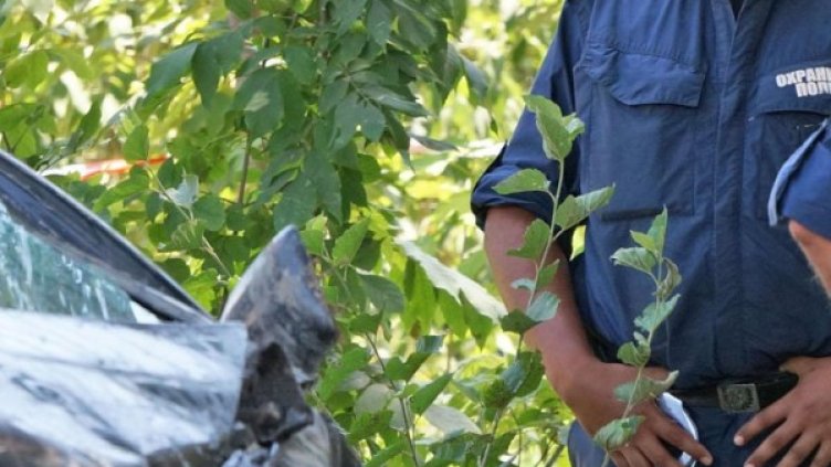 Снимка: архив, Булфото