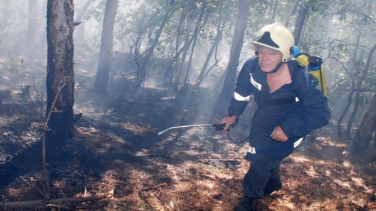 Снимка: БулФото