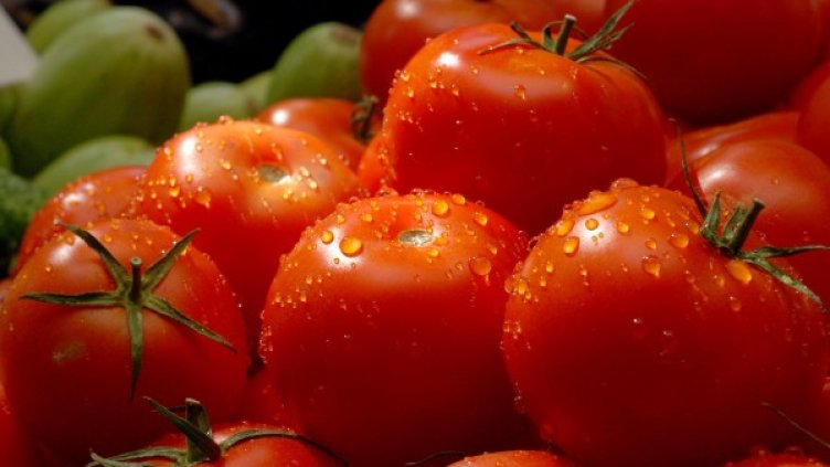 Снимка: БулФото-архив