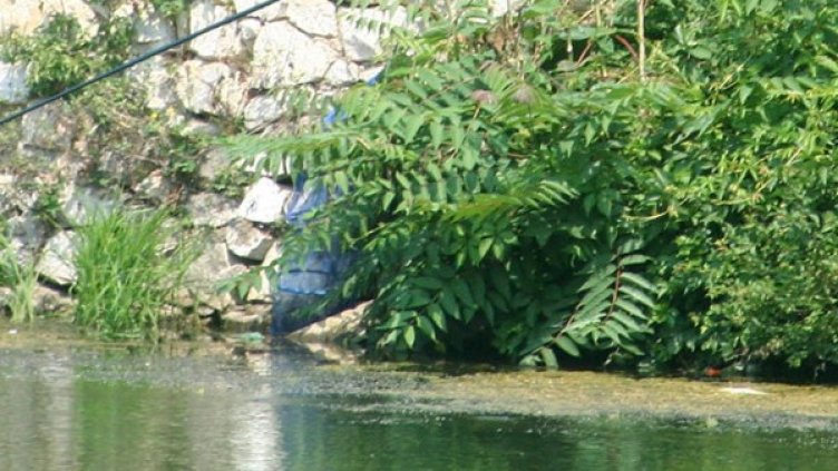 Децата не изплували. Снимка: архив Булфото