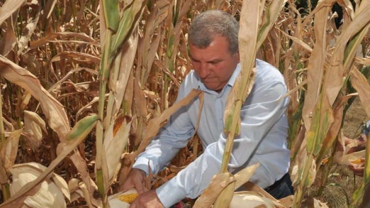 Земеделският министър Димитър Греков. Снимка: БТА, архив