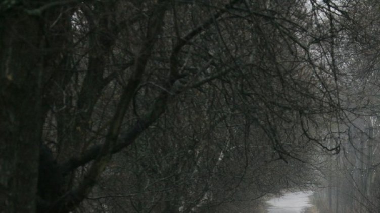 Снимка: архив, Reuters