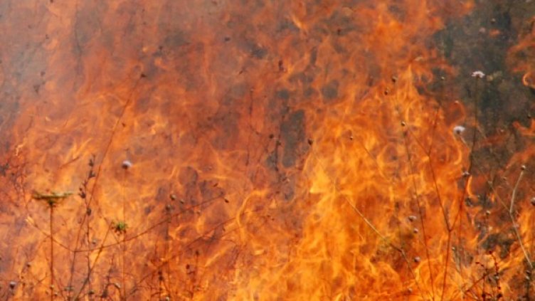 Снимка: архив, БТА