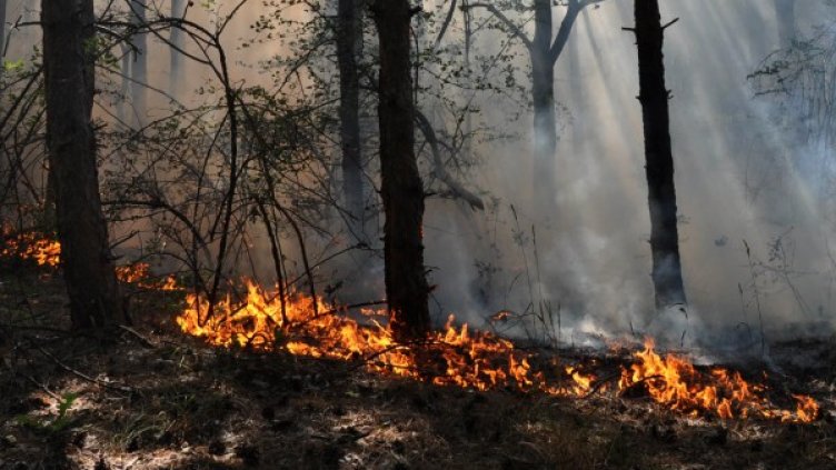 Снимка, БТА, архив