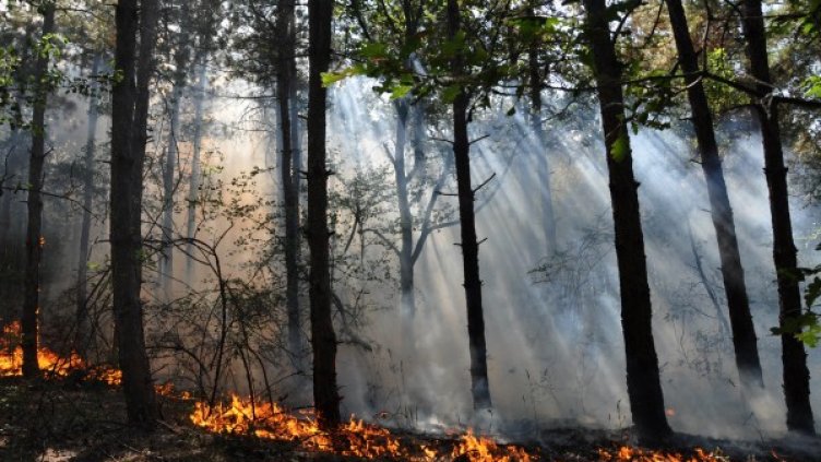 Снимка, БТА, архив