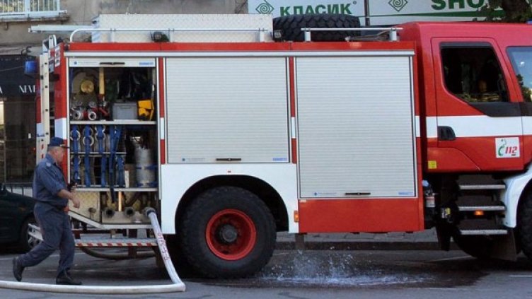 Снимка: Булфото, архив