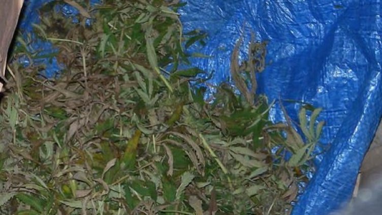 Снимка: БулФото-архив