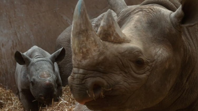 Снимка: архив, Reuters